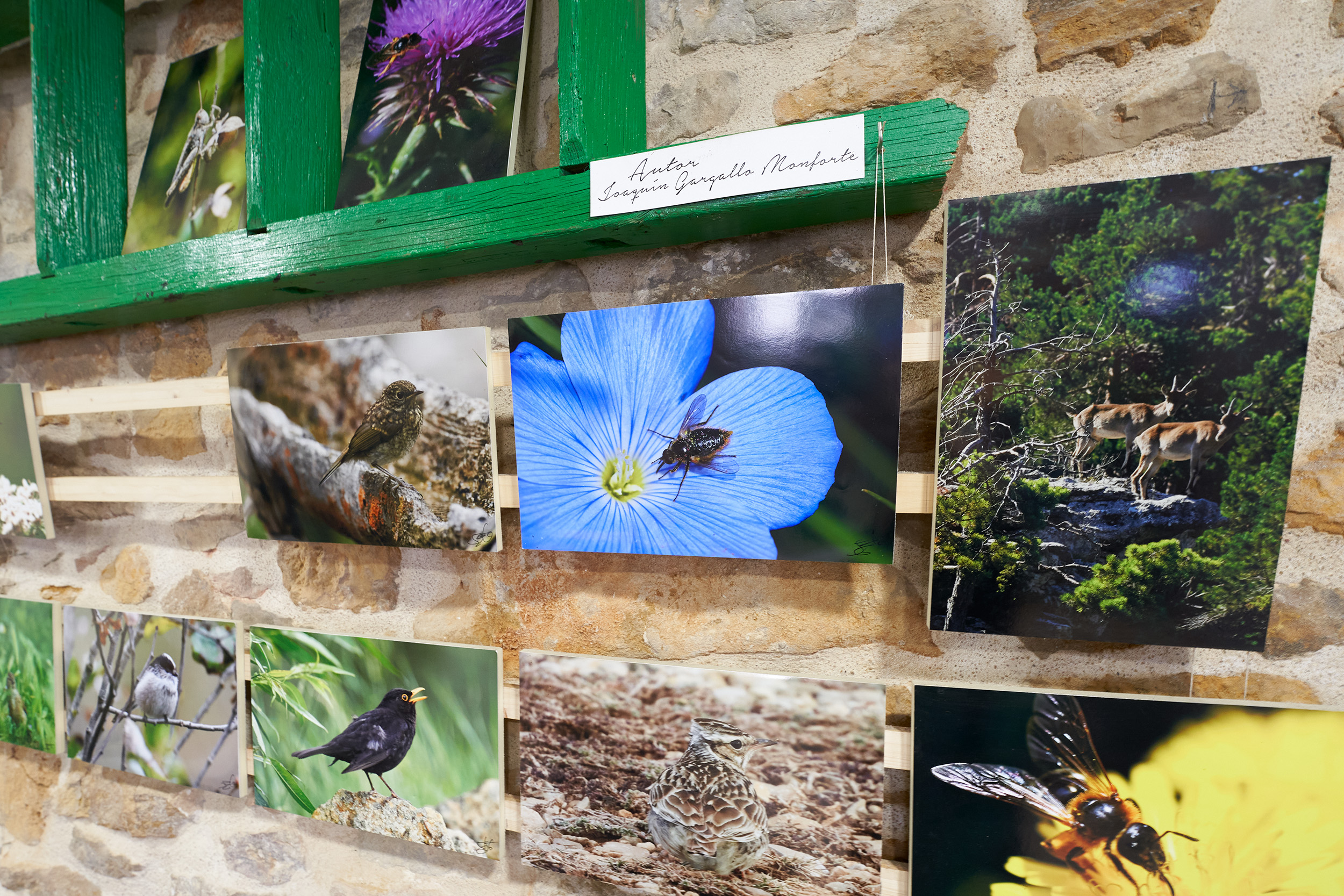 imagen del interior de gastrobar fotografias naturaleza