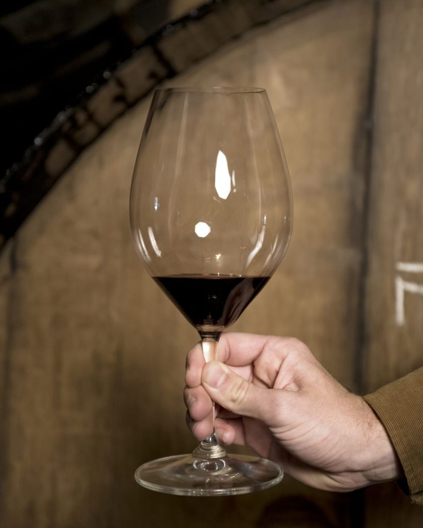 copa de vino en una mano 